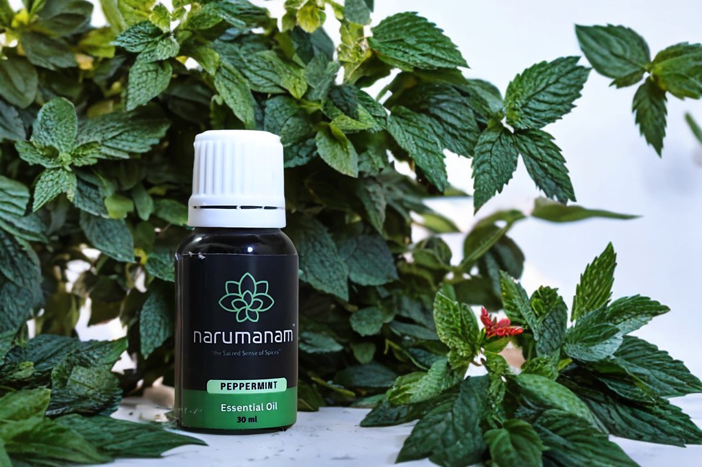 Glass bottle of 100% pure organic peppermint oil with fresh mint leaves